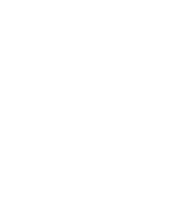 logo-2
