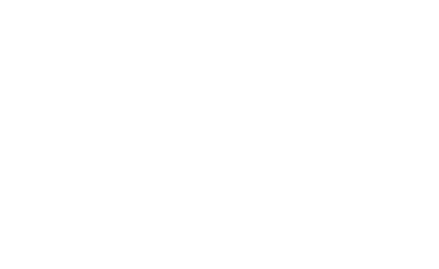 logo-3